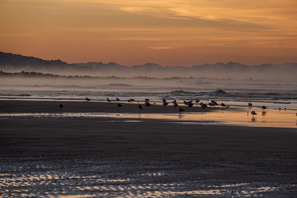 Amanecer-2 Barbate Dawn