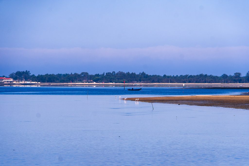 Aveiro lagoon