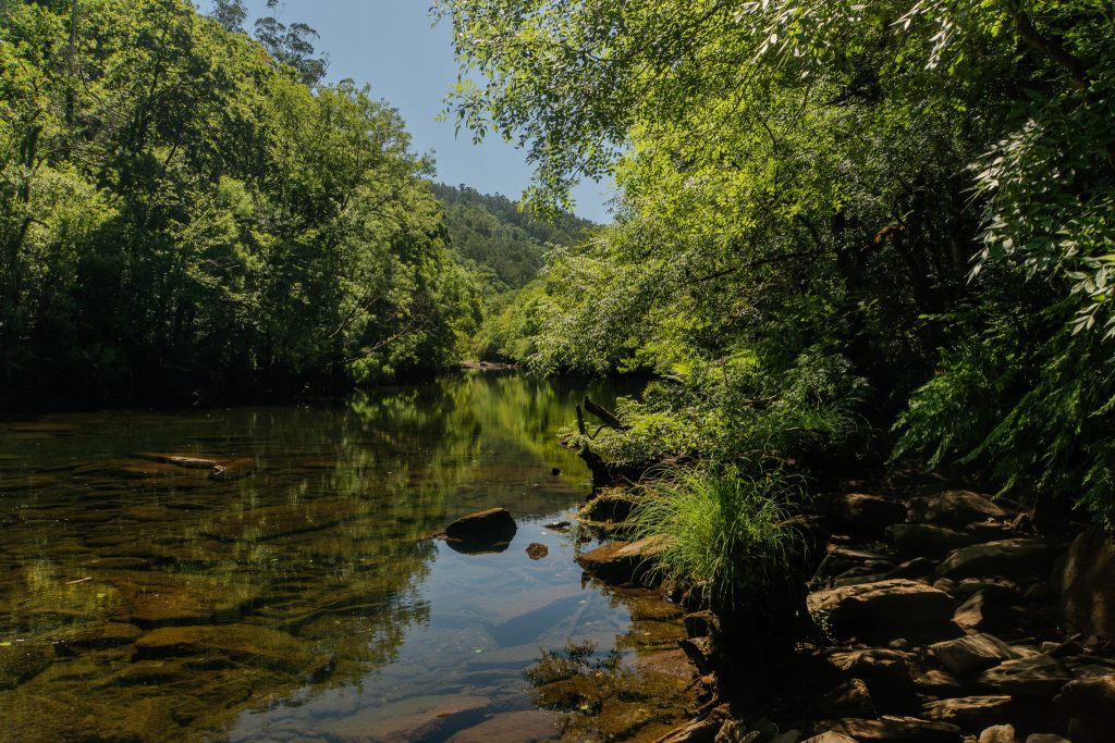 Galicia